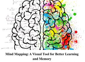 Mind Mapping Blog - CBSE Schools In Jaipur