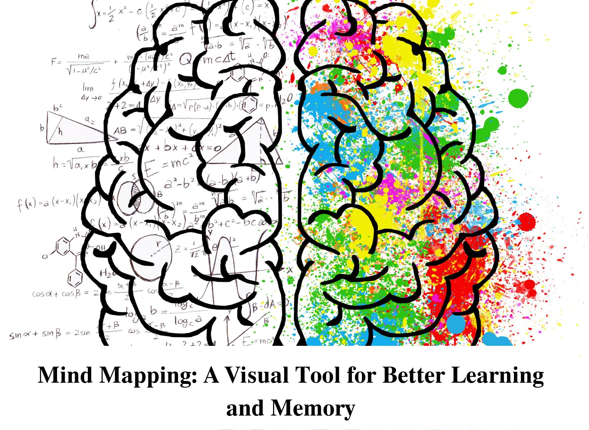 Mind Mapping Blog - CBSE Schools In Jaipur
