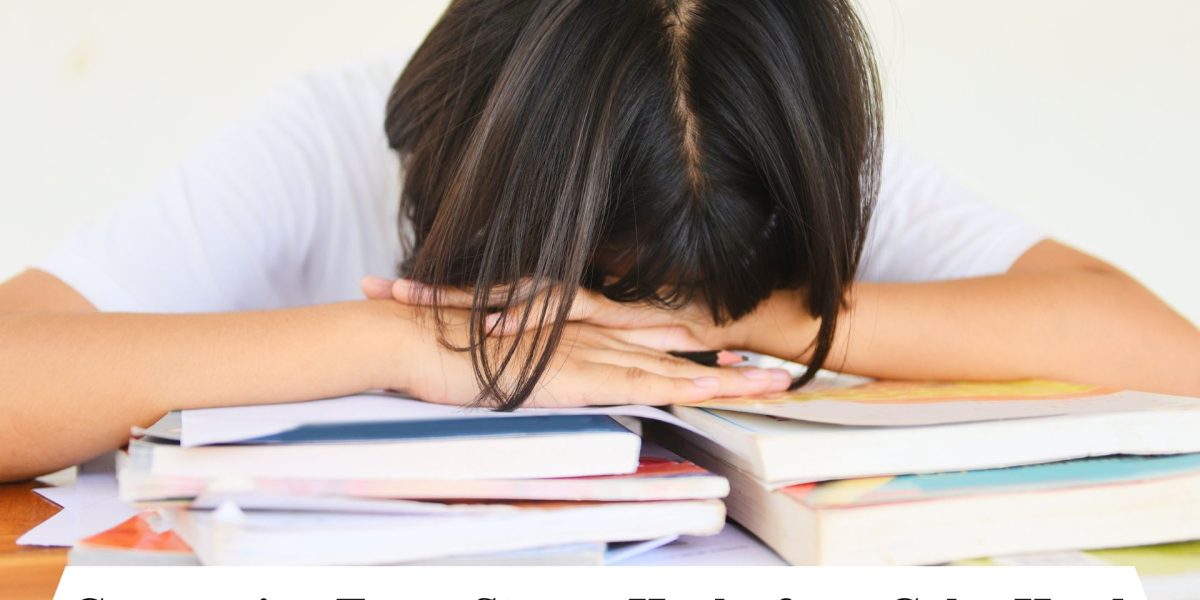 Best CBSE Schools in Jaipur
