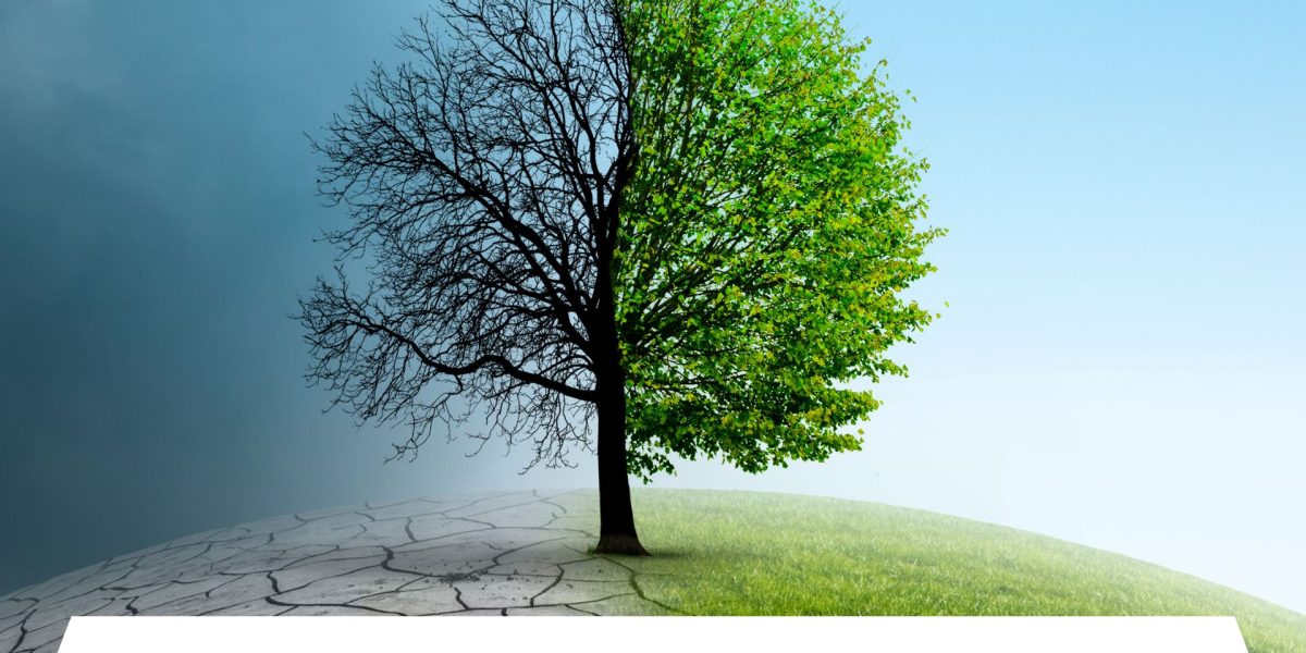 Sustainable Blog - CBSE Schools in Jaipur