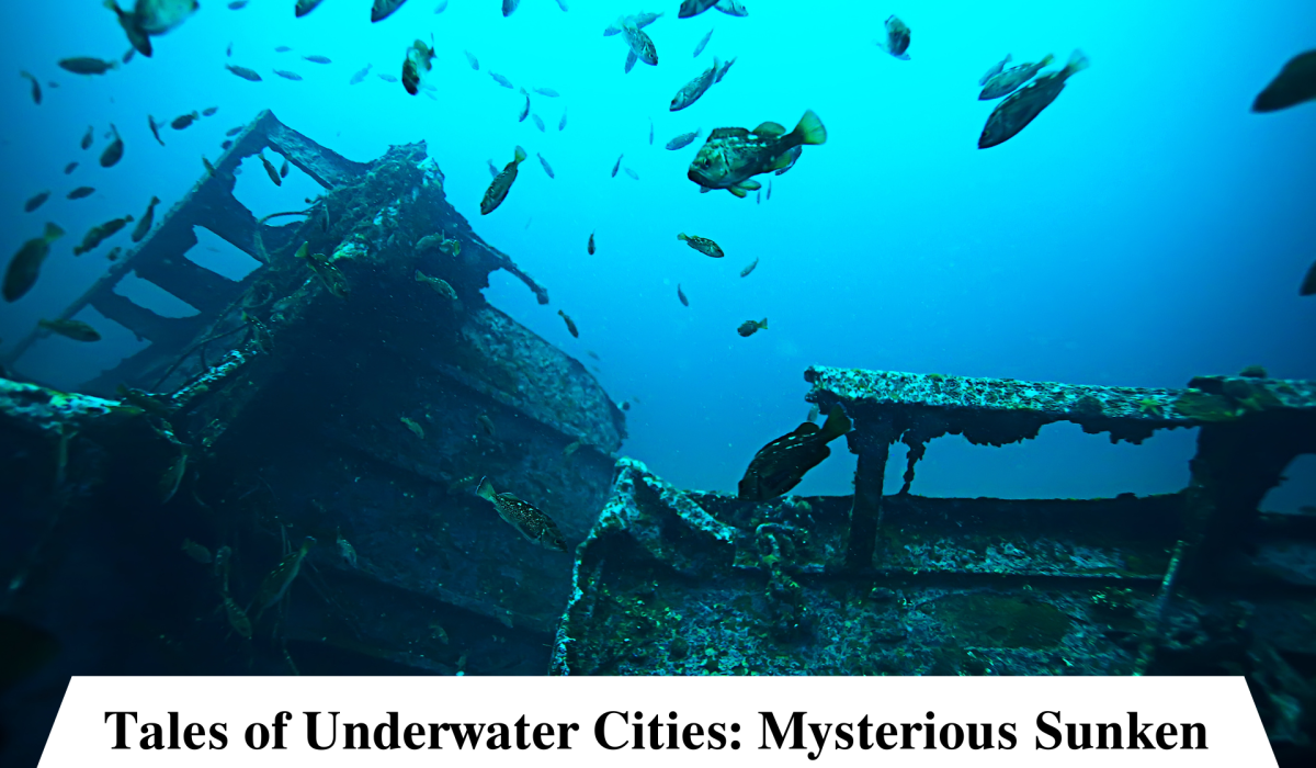 Cbse schools in jaipur